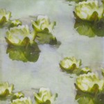 WATERLILY 05